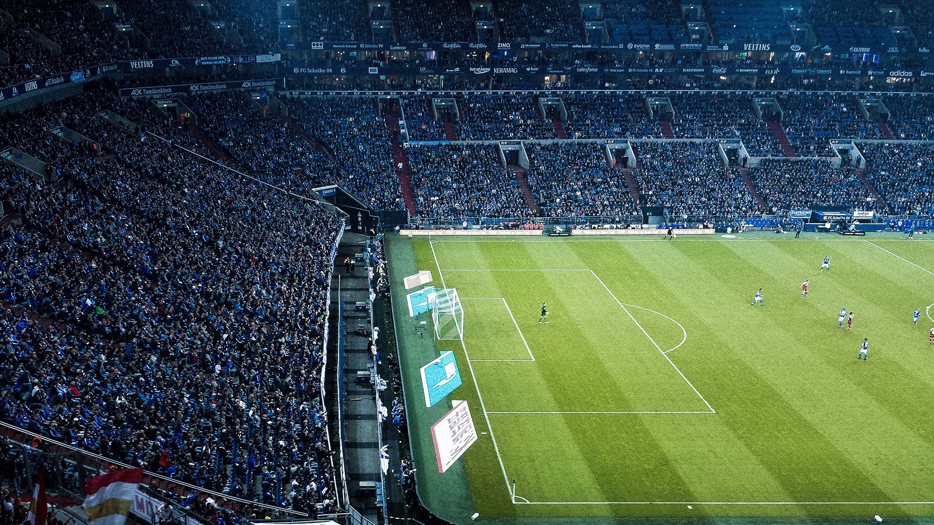 独行侠成立“家庭球迷委员会”，优化亲子观赛体验