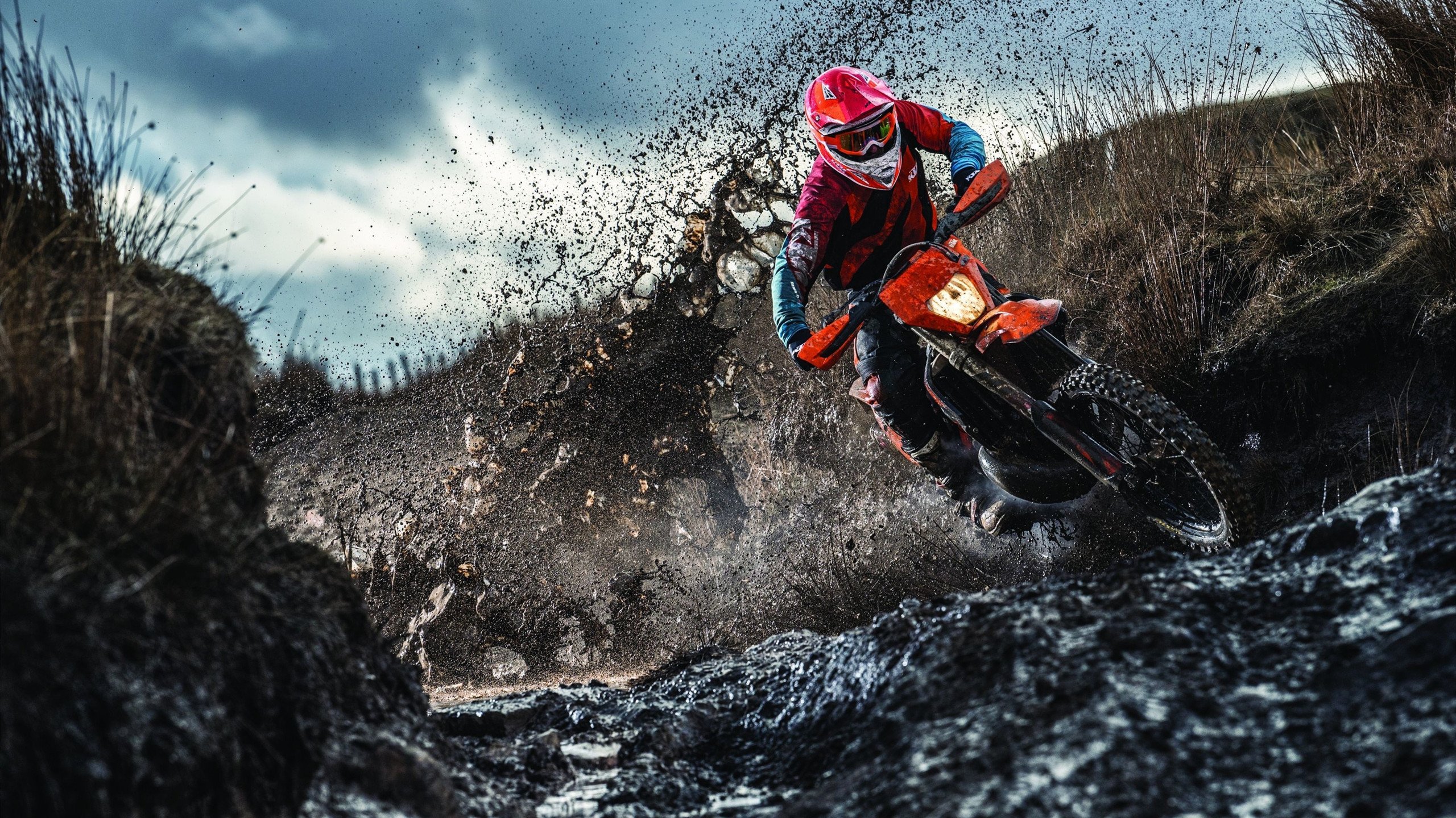 球迷“狂热应援”引爆欧冠夜——一场视听盛宴，球迷狂欢