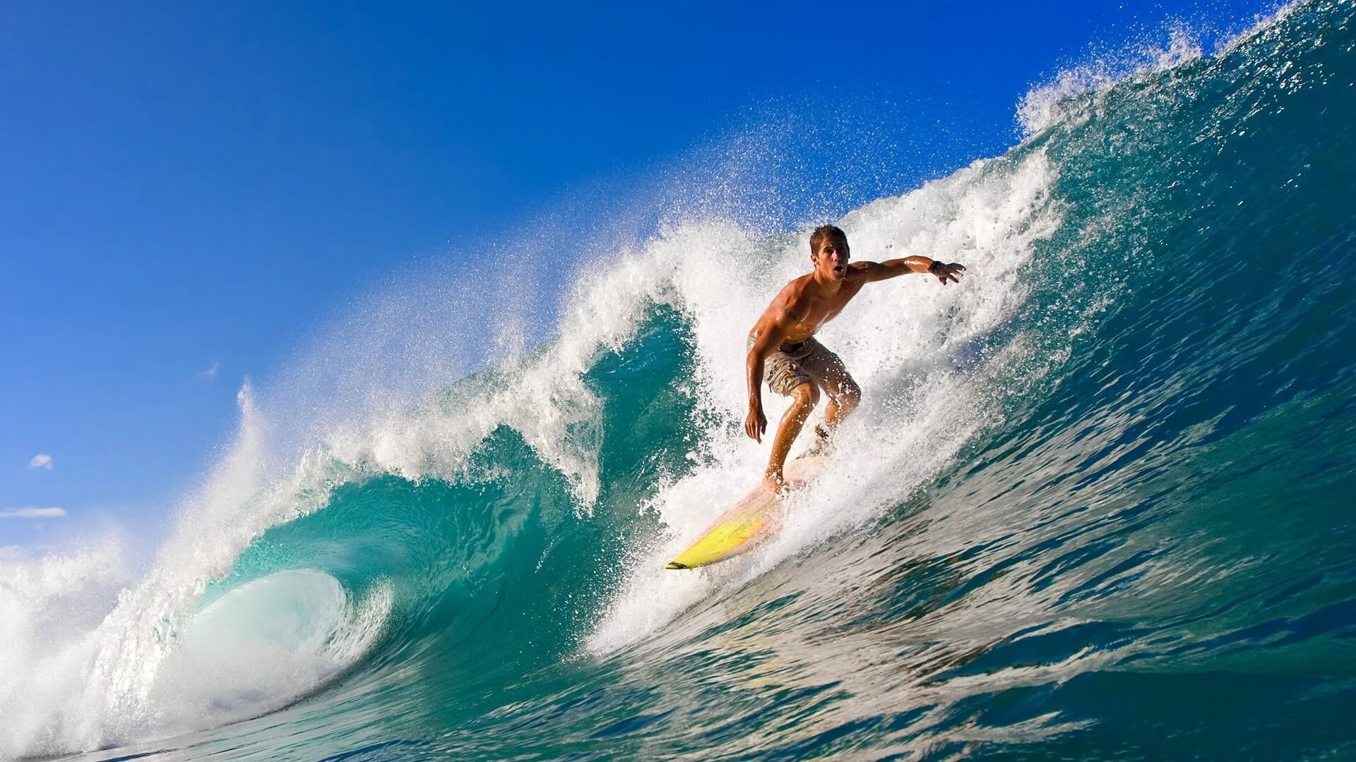 超级明星的“私人秘诀”：他们怎样保持巅峰状态？，明星都是怎么保持身材